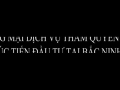 Введение компании